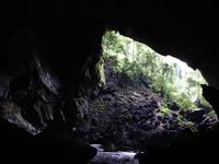 176 Garden von eden, Deer Cave, Gunung Mulu Nationalpark, Borneo, Malaysia
