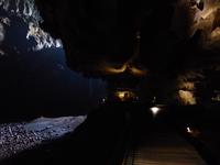 178 Deer Cave, Gunung Mulu Nationalpark, Borneo, Malaysia