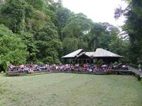 179 Gunung Mulu Nationalpark, Borneo, Malaysia