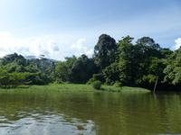 181 Gunung Mulu Nationalpark, Borneo, Malaysia