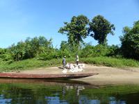 182 Gunung Mulu Nationalpark, Borneo, Malaysia