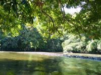 189 Fahrt mit dem Langboot, Gunung Mulu Nationalpark, Borneo, Malaysia