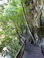 194 Gunung Mulu Nationalpark, Borneo, Malaysia