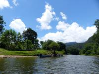 212 Gunung Mulu Nationalpark, Borneo, Malaysia