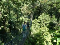 219 Canopy Walk, Gunung Mulu Nationalpark, Borneo, Malaysia