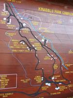 253 Kinabalu Nationalpark, Sabah, Borneo, Malaysia