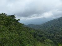 336 Cameron Highlands, Malaysia