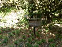 339 Bienenfarm, Cameron Highlands, Malaysia