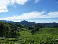 350 Teeplantage, Cameron Highlands, Malaysia