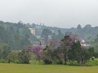 424 Blick auf unser Hotel, Cameron Highlands, Malaysia