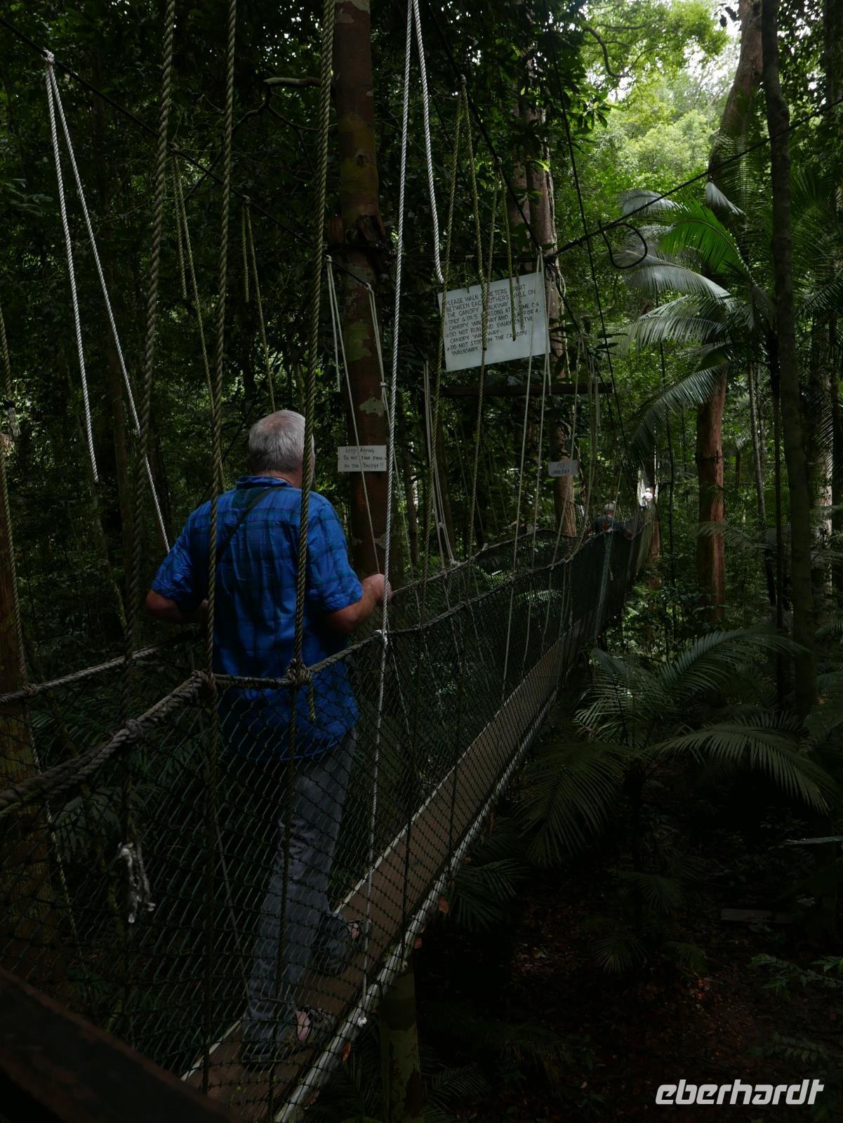 Bergwipfelpfad National Park Malaysia