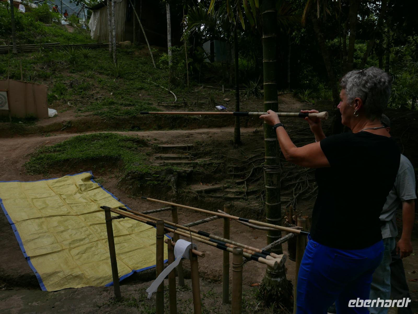 Cameron Highlands Pfeil schießen