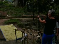 Cameron Highlands Pfeil schießen