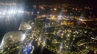 Gardens by the Bay bei Nacht