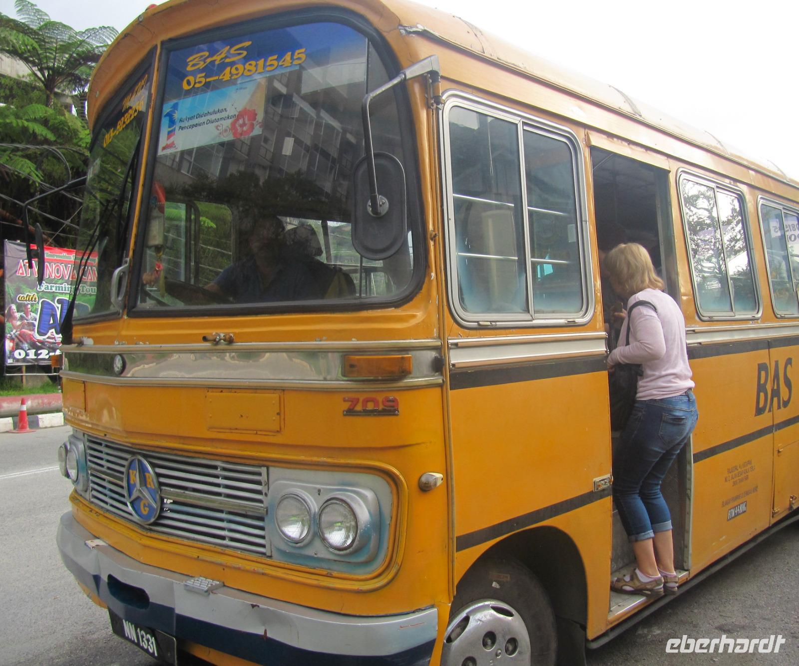 Mit dem Schulbus in die Teefelder