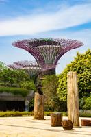 Singapur Supertree Grove