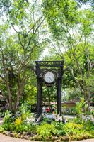 Singapur Botanischer Garten