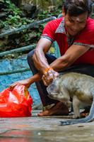 Kuala Lumpur Batu Caves