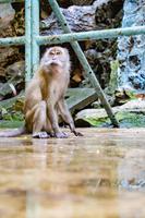 Kuala Lumpur Batu Caves