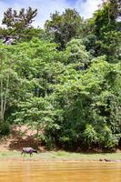 Bootsfahrt Tama Negara