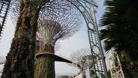 Singapur, Gardens by the Bay, Super Trees