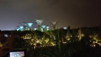 Singapur, Gardens by the Bay, Super Trees