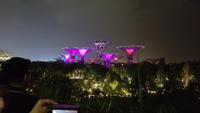 Singapur, Gardens by the Bay, Super Trees