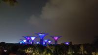 Singapur, Gardens by the Bay, Super Trees