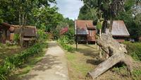 Malaysia, Mutiara Taman Negara Resort