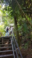 Malaysia, Taman Negara NP, Weg hinauf zum Aussichtspunkt