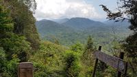 Malaysia, Taman Negara NP mit Blick zu den höchsten Bergen der Malayischen Halbinsel