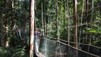 Malaysia, Taman Negara NP, Canopy Pfad