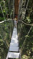 Malaysia, Taman Negara NP, Canopy Pfad