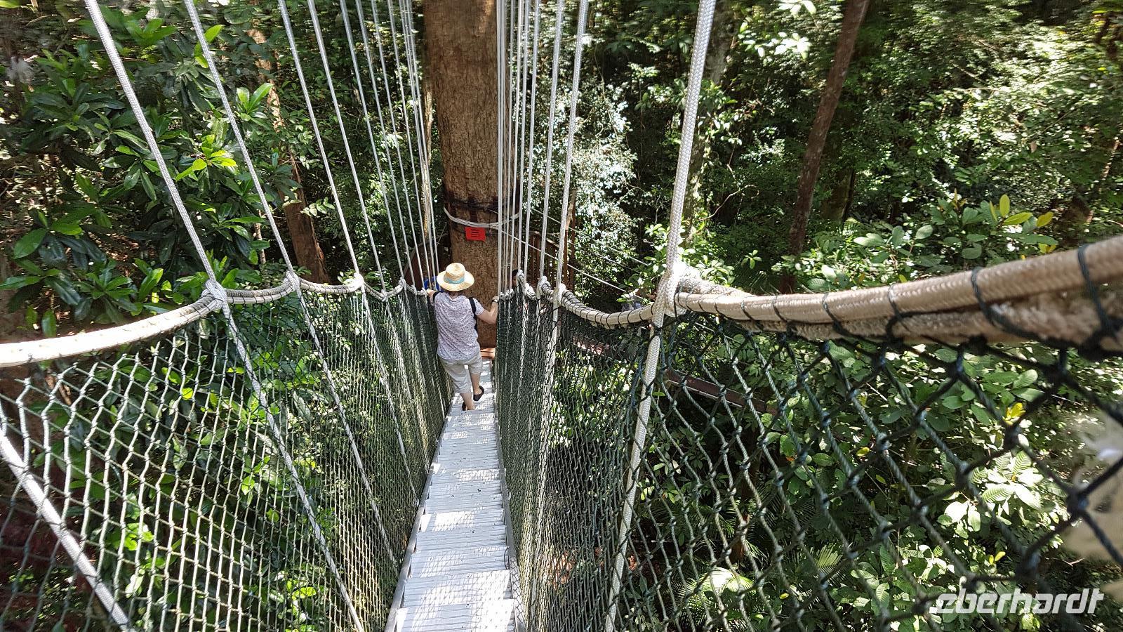 Malaysia, Taman Negara NP, Canopy Pfad