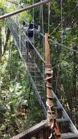 Malaysia, Taman Negara NP, Canopy Pfad