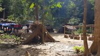 Malaysia, Taman Negara NP, bei den Orang Asli Ureinwohnern