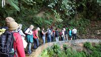 Malaysia, Cameron Highlands, Wanderung