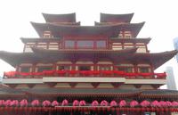 Rundreise Singapur & Malaysia, Stadtrundfahrt Singapur, Zahntempel 