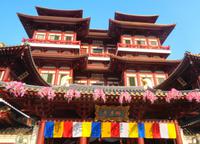 Rundreise Singapur & Malaysia, Stadtrundfahrt Singapur, Zahntempel 