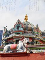 Rundreise Singapur & Malaysia, Stadtrundfahrt Singapur, Indischer Tempel