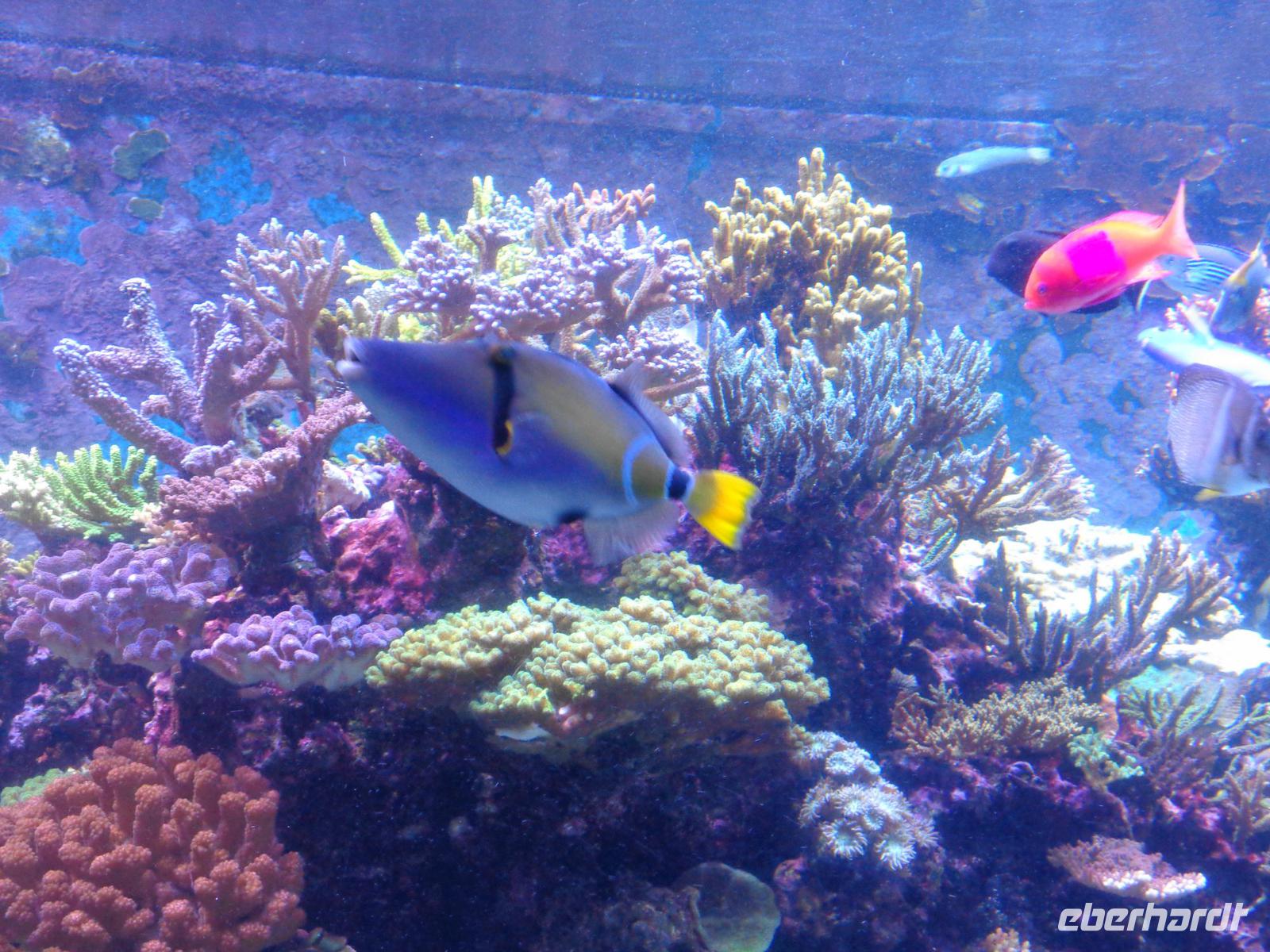 Rundreise Singapur & Malaysia, Sentosa Island