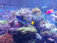 Rundreise Singapur & Malaysia, Sentosa Island