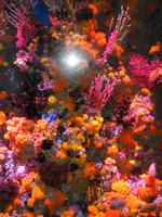 Rundreise Singapur & Malaysia, Sentosa Island