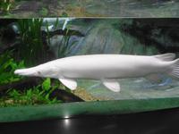 Rundreise Singapur & Malaysia, Sentosa Island