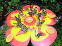 Rundreise Singapur & Malaysia, Sentosa Island