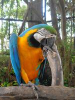 Rundreise Singapur & Malaysia, Sentosa Island