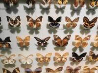 Rundreise Singapur & Malaysia, Sentosa Island