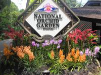 Rundreise Singapur & Malaysia, Singapur, Orchideengarten