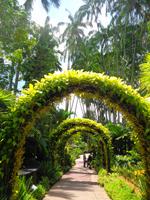 Rundreise Singapur & Malaysia, Singapur, Orchideengarten