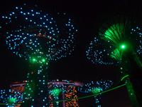 Rundreise Singapur & Malaysia, Singapur, Gardens By The Bay, Lichtershow